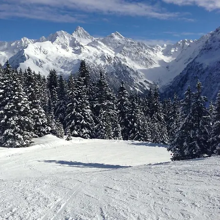Montagne Face Aux Pistes Les Adrets