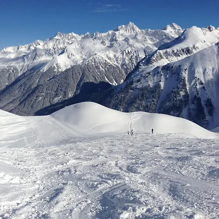 Montagne Face Aux Pistes *